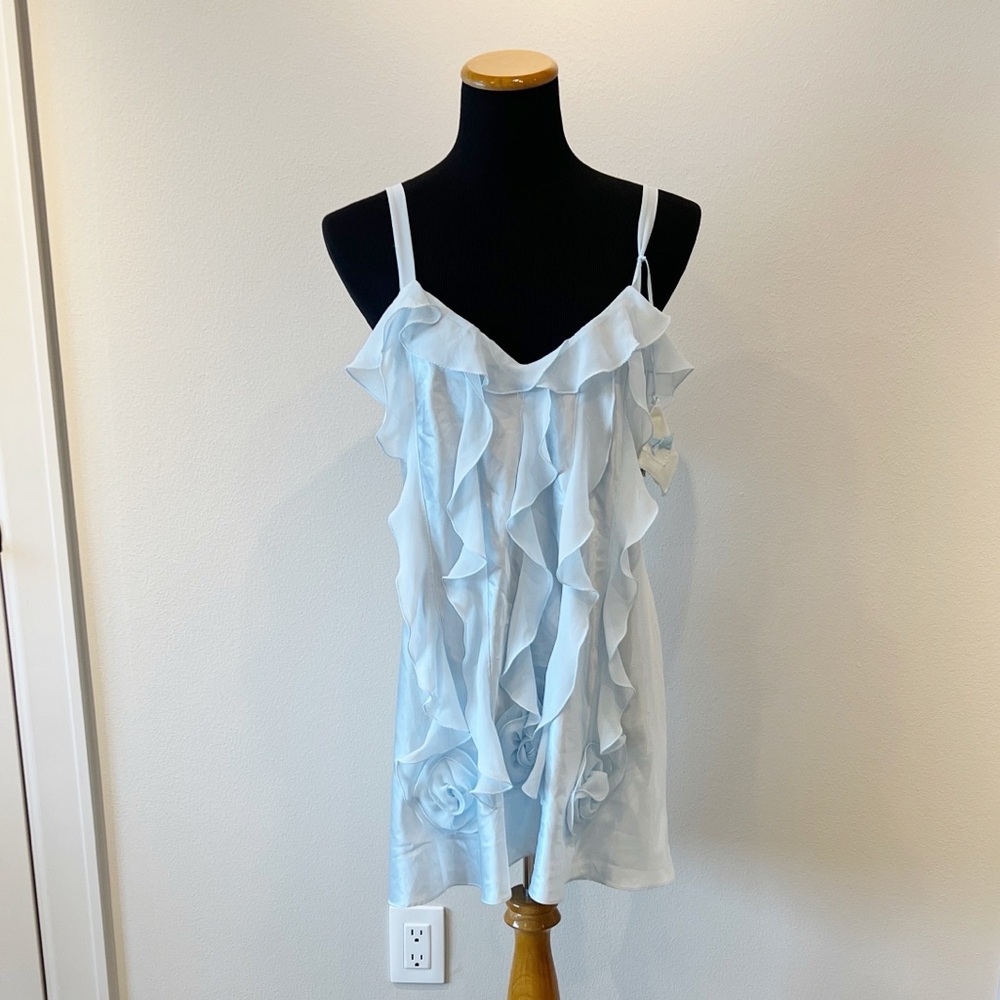 NWT Flora Nikrooz Chiffon Ruffle Chemise